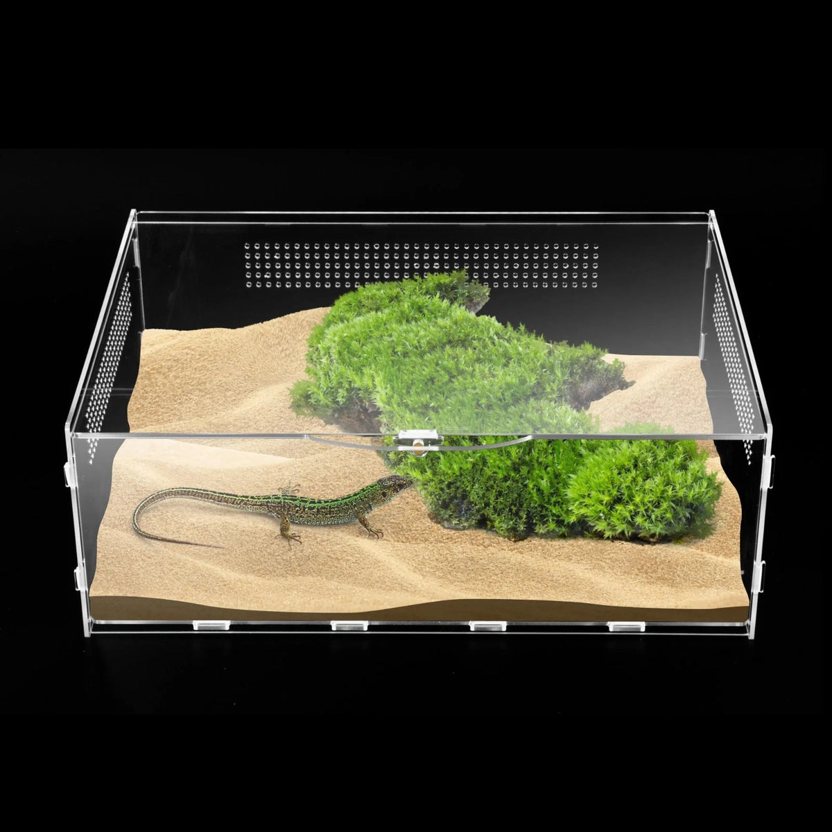 Micro Habitat Terrarium Enclosure, 6x11x16 inch Jumping Spider Enclosure with Lo