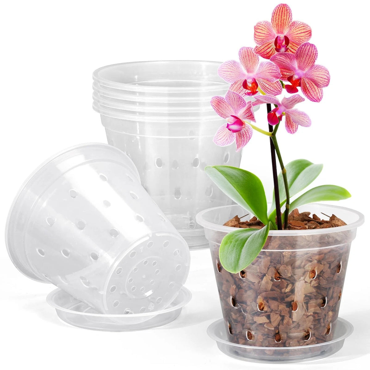 Orchid Pot, 6 Pack 3 Inch Clear Orchid Pots with Holes and Saucers for Repotting