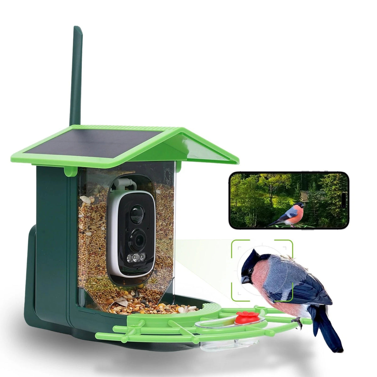 Bird Feeder with Camera, AI Birds Identification, Solar Powered, Live View, Inst