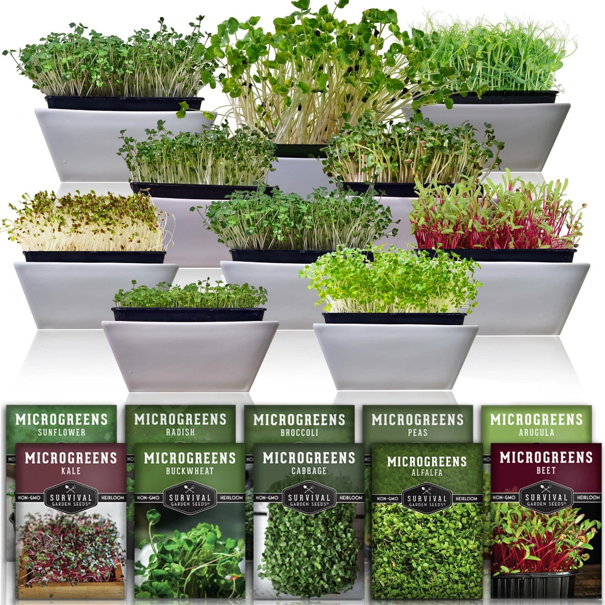 -Round Indoor Microgreens: 10 Varieties of Non-GMO Seeds for Healthy Living