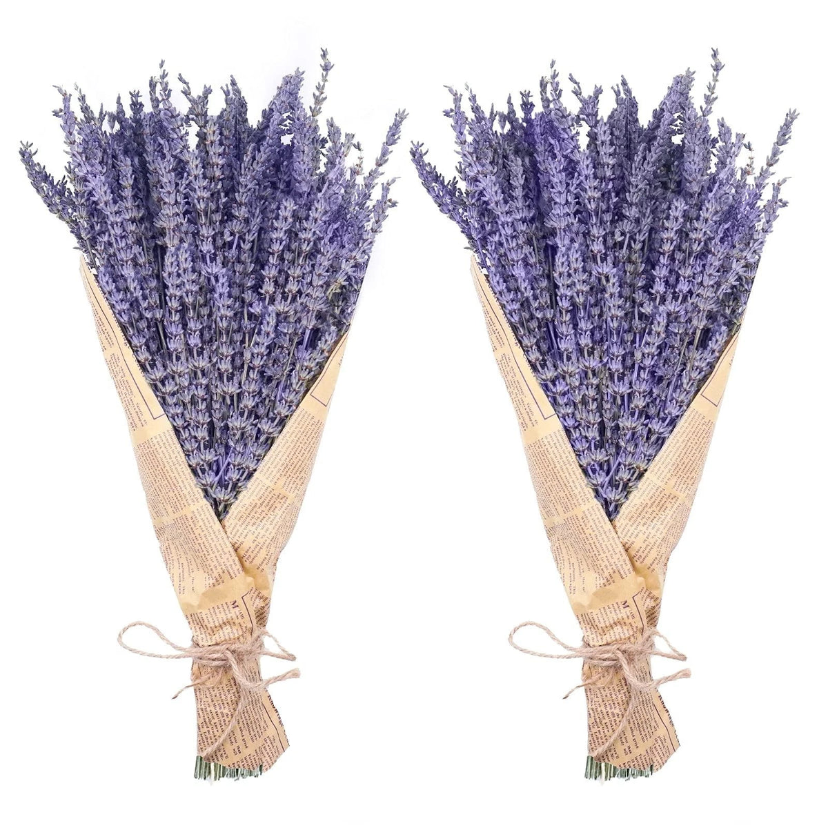 Dried Lavender Bundles, Natural Dried Lavender Flowers 280-300 Stems 16?for Ho