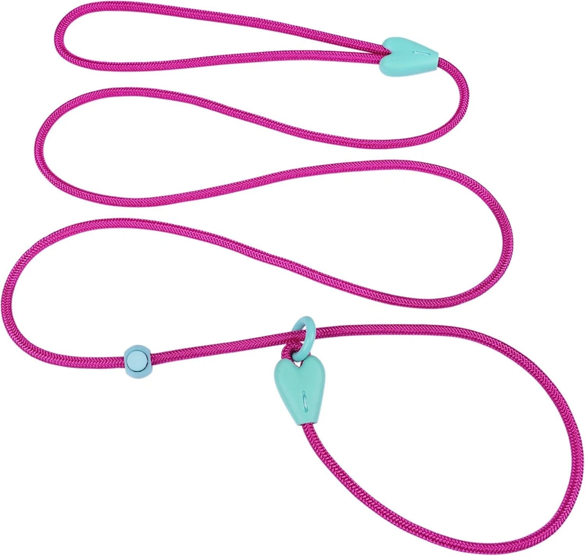 Dog Training Leash Slip Leads for Dogs 6 FT Slip Leash for Dogs Dog Lead with 6