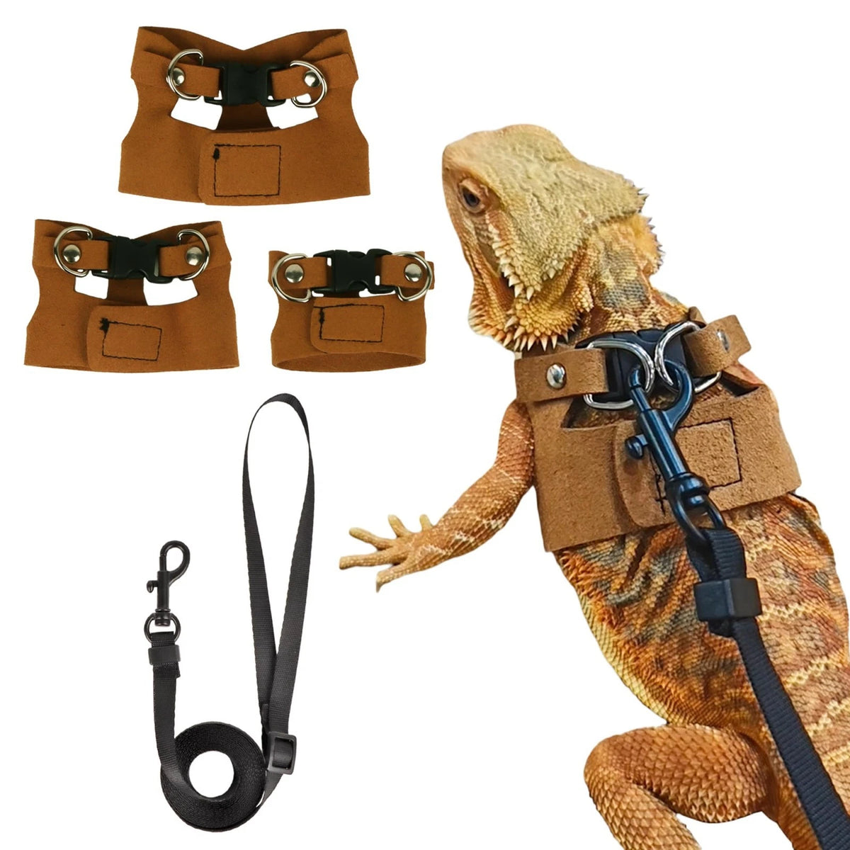 Bearded Dragon Harness Leash Set- 3 Size Pack Lizard Harness, Lizard Reptile Wal