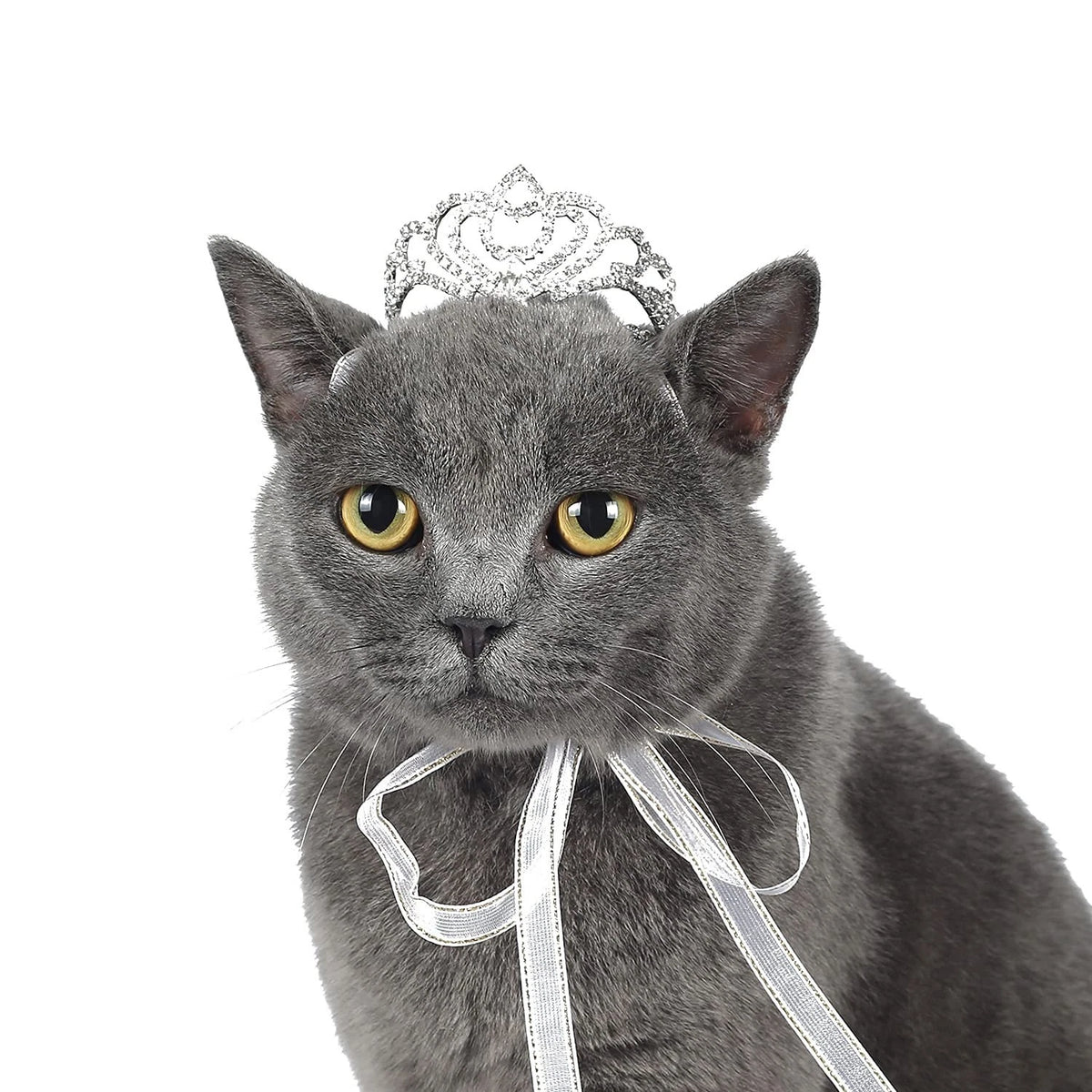 Lovelyshop Pet Series Classic Petal Rhinestone Dog/Cat Tiara Crown for Costum...