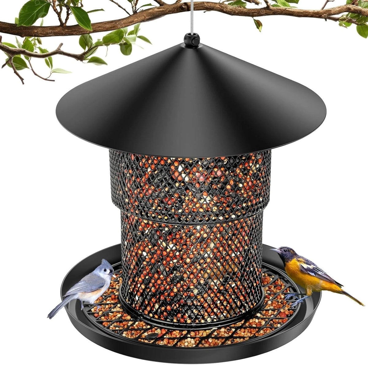 Bird Feeder for Outdoor Hanging, No Mess No Spill Birdfeeder for Outdoor, Sq...