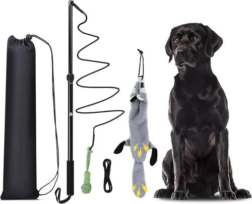 KOXXUD Flirt Pole Dogs, Dog Chase Toy with Squeakers Inside, Dog Fishing Pole To