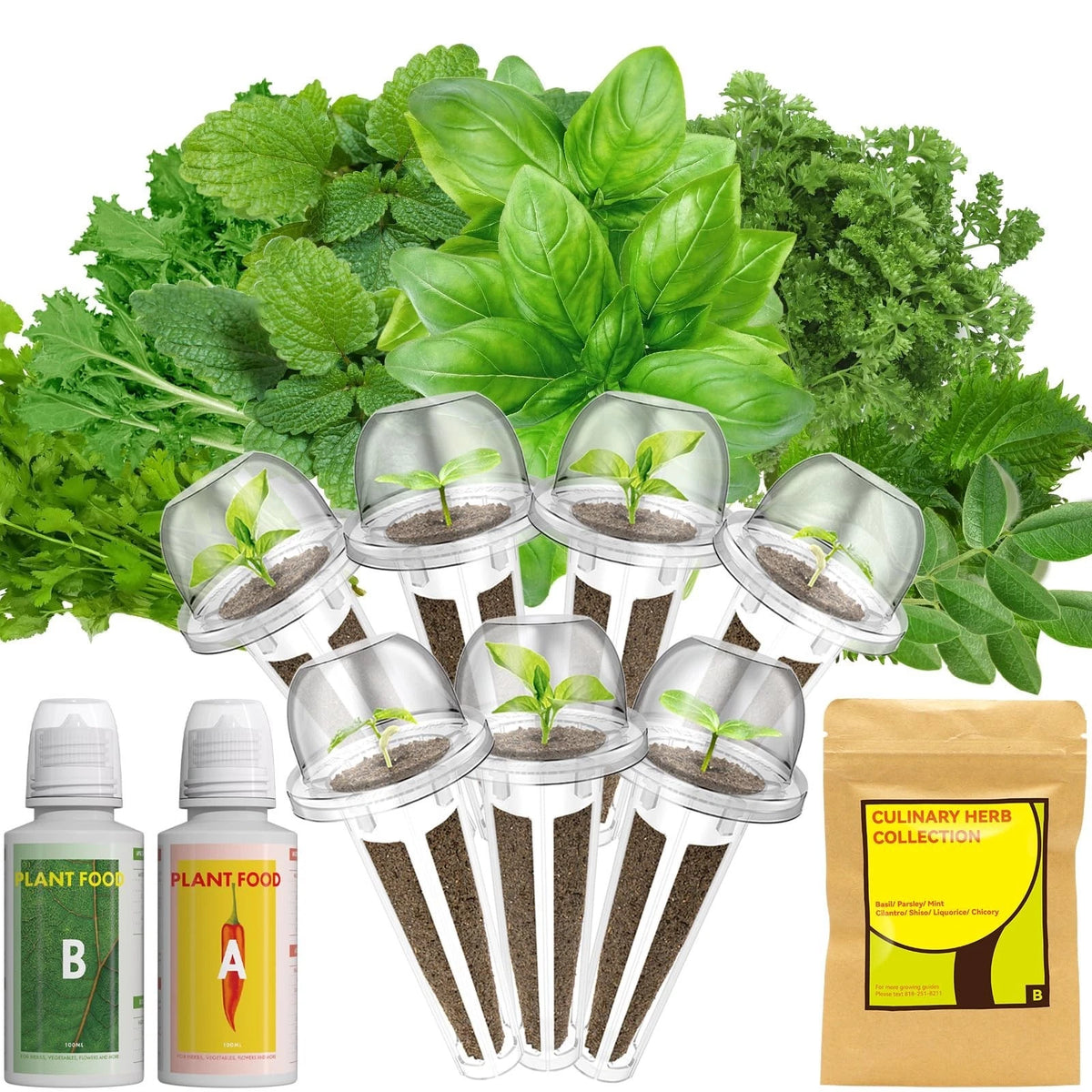 Gourmet Herb Seed Pod Kit for AeroGarden, iDoo, Ahopegarden, GARDENCUBE, 7 Pods