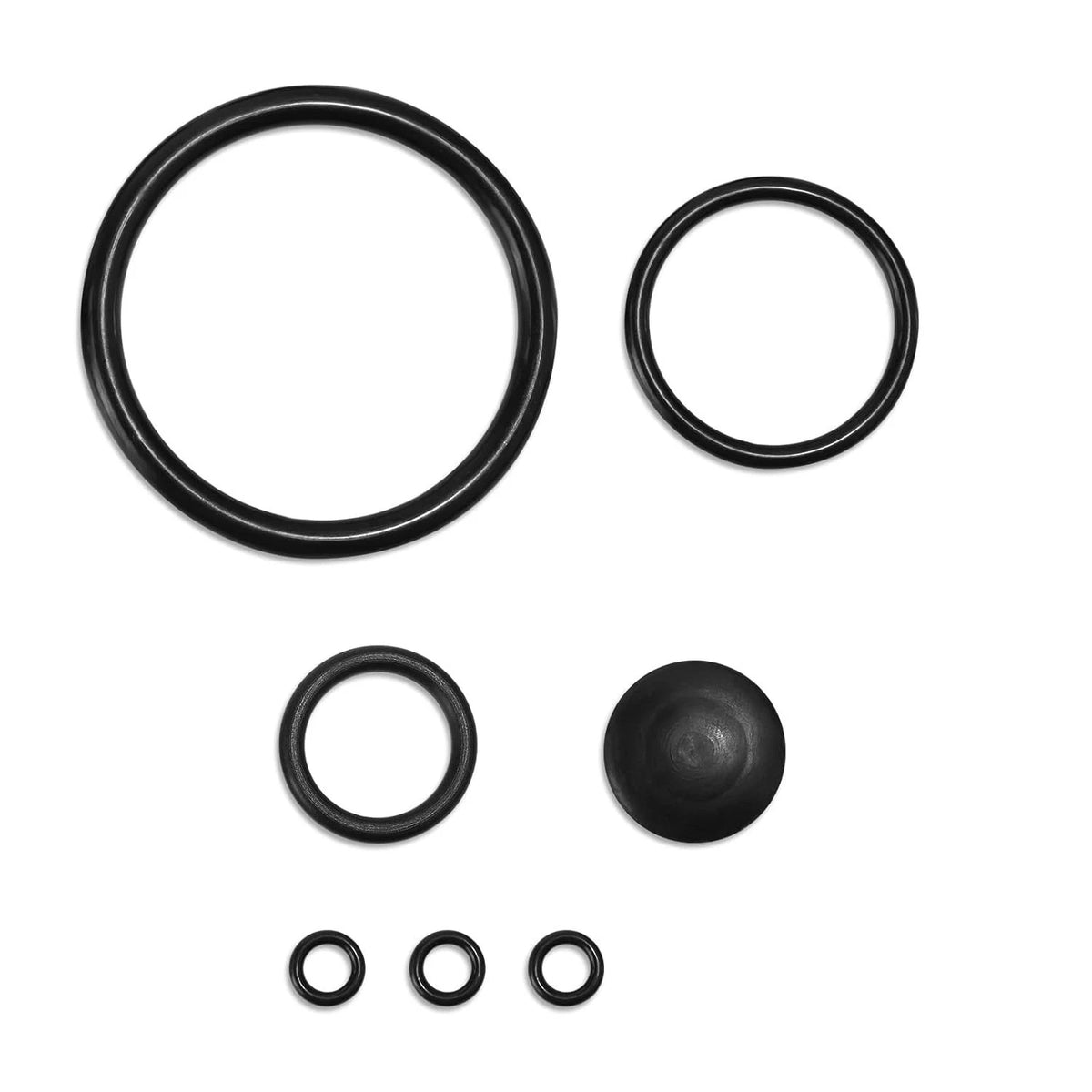 Chapin Seal Gasket Set Compatible with 20000 Sprayers, Pump O Rings Piston Repai