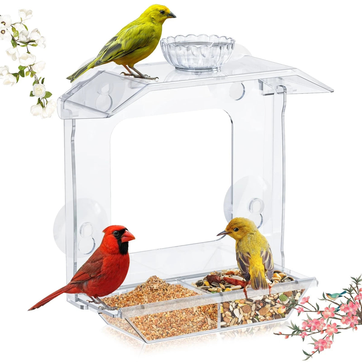 Clear Window Bird Feeder with Strong Suction Cups ?Clear Bird Feeding Station w