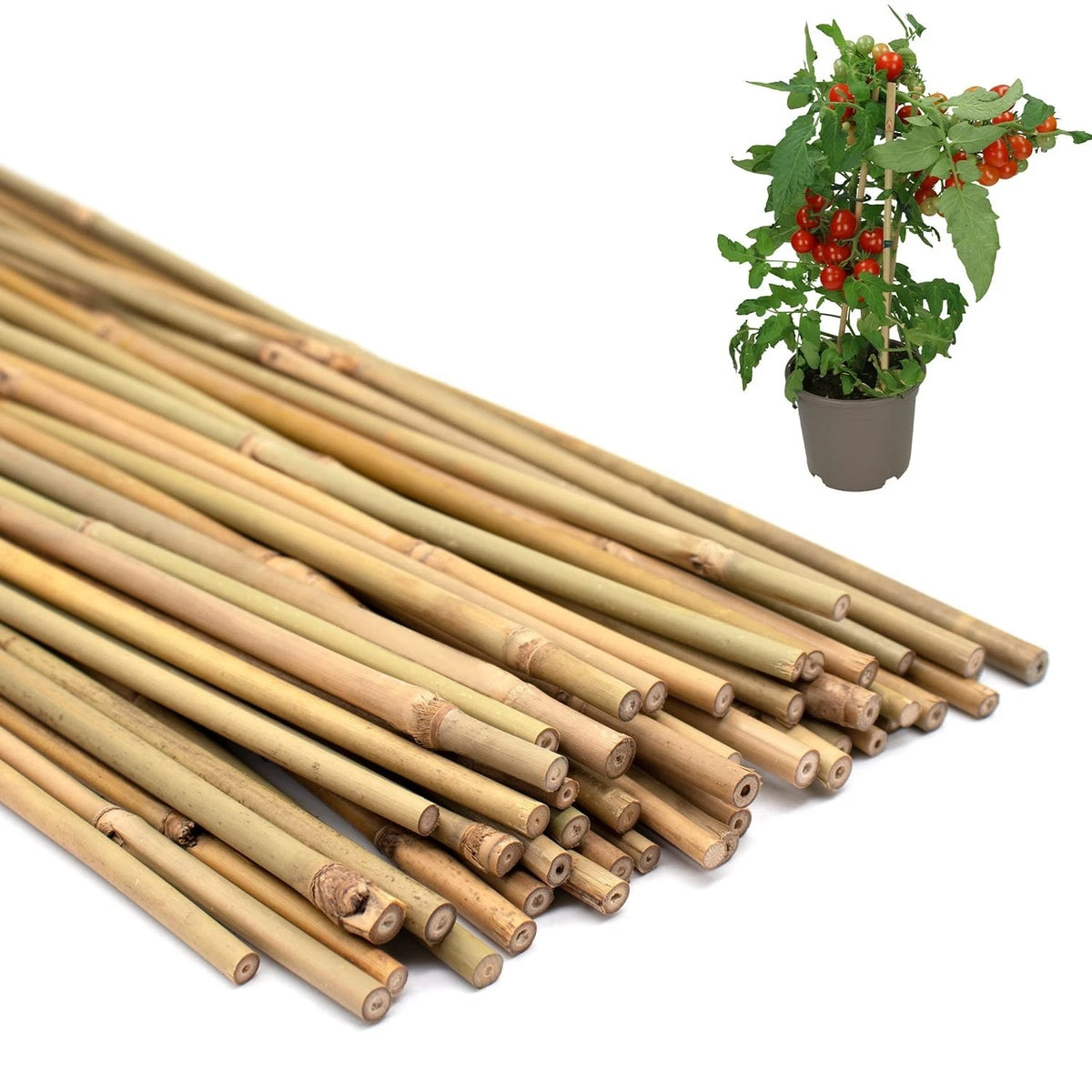 50PCS Plant Stakes,Natural Bamboo Stakes,Garden Stakes for Indoor and Outdoor...