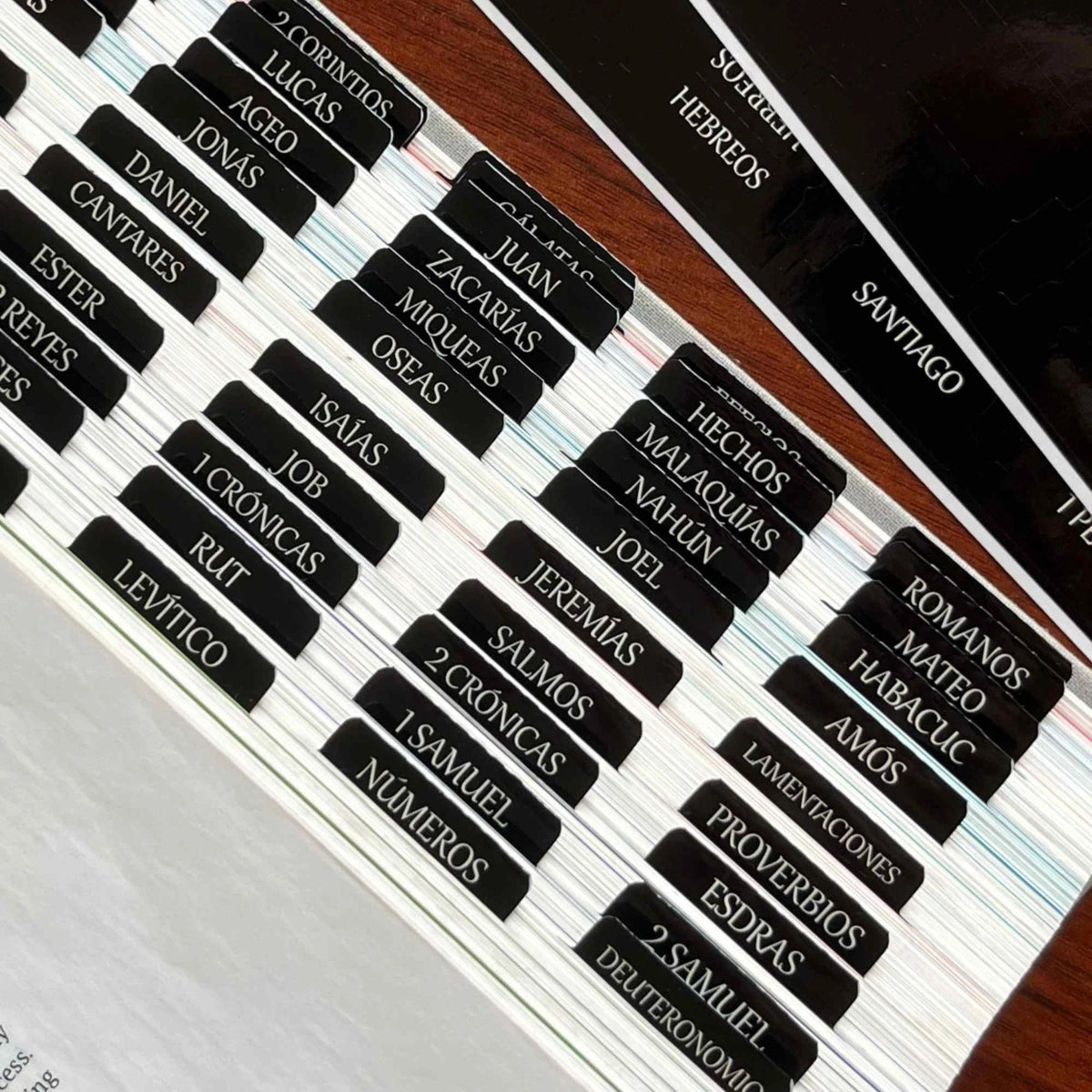 Spanish Laminated Bible Tabs pestañas para biblia en español Reposition Large
