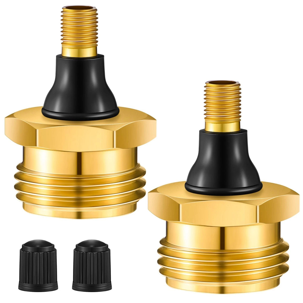 2 Pack Brass RV Blow Out Plug, Heavy Duty Winterization Tool Compatible with Sch