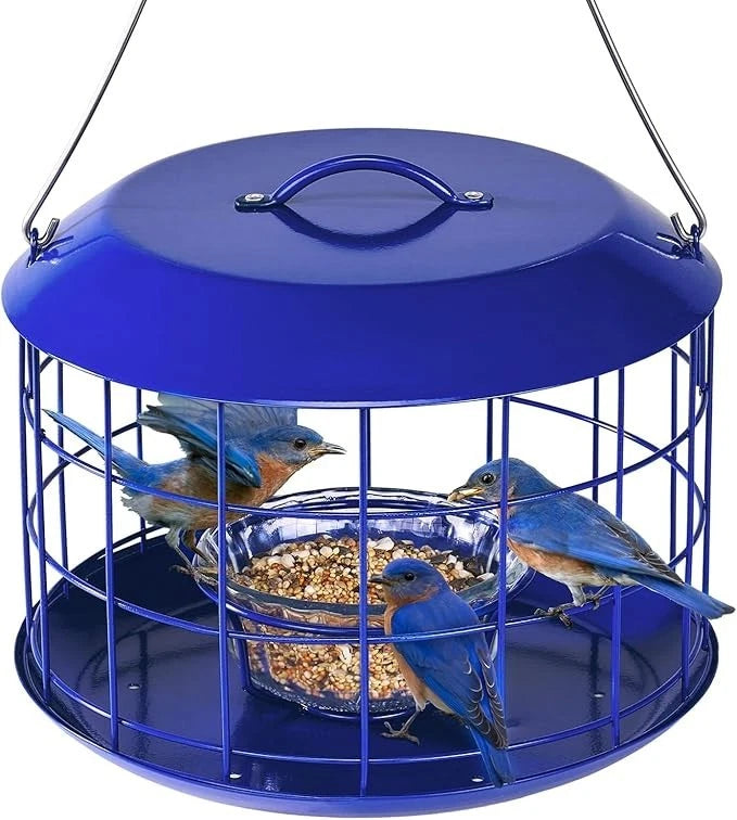 Kingsyard Bluebird Feeders for Outdoors Hanging, All Metal, Cage Mealworm Bird F