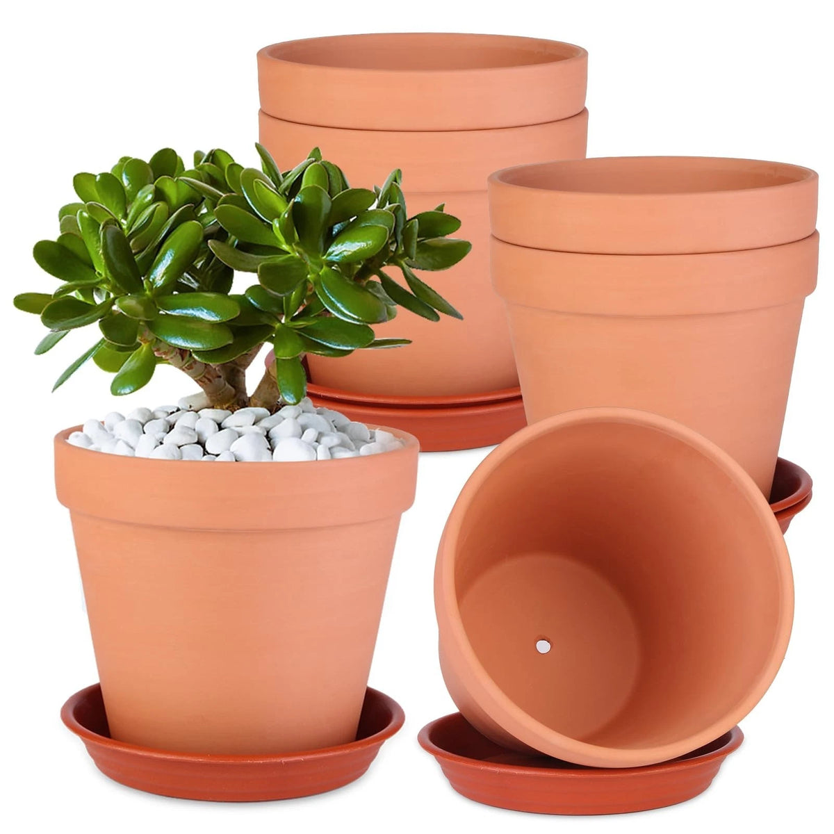 6 Pack 6 Inch Terracotta Pots with Saucers Large Clay Planters Unglazed