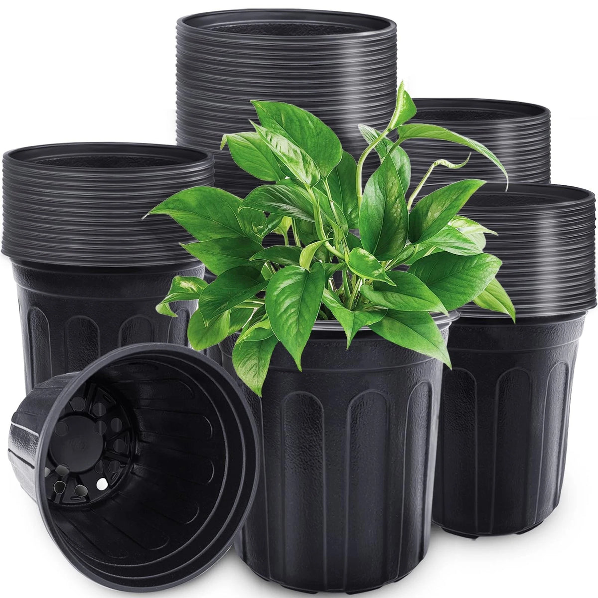 60 Pcs 1 Gallon Plant Nursery Pots,Plastic Seed Starter Pot with Drainage Holes,